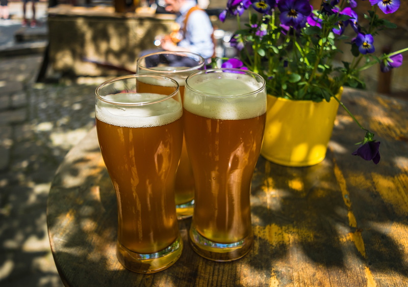 glasses, day, yeast, refreshment, beer - alcohol, drink, table, drinking glass, flowering plant, incidental people, plant, hurricane, drinking, wheat beer