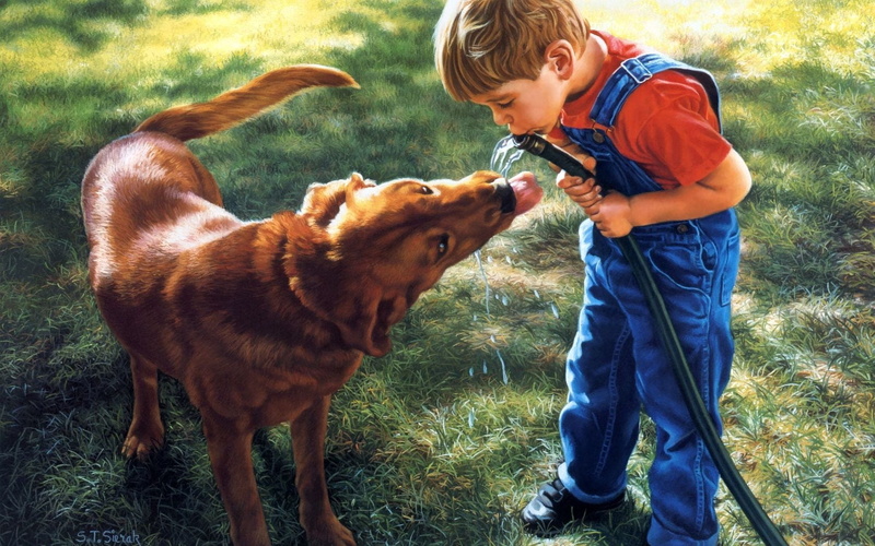 pets, smiling, innocence, females, women, one animal, dog, small, puppy, embracing, childhood, playful, friendship, outdoors, playing, thirst, green Color