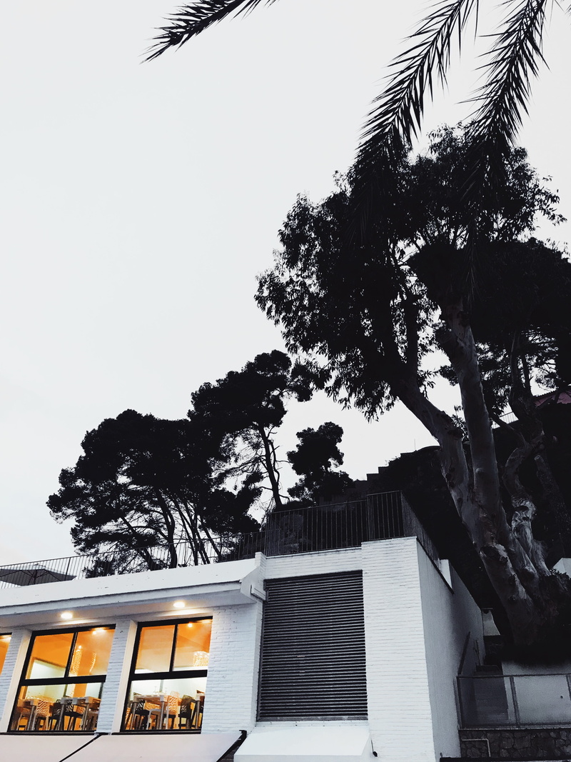residential district, 4K, passeig de sa caleta, building, plant, built structure, spain, branch, day, window, building exterior, tree, clear sky, nature