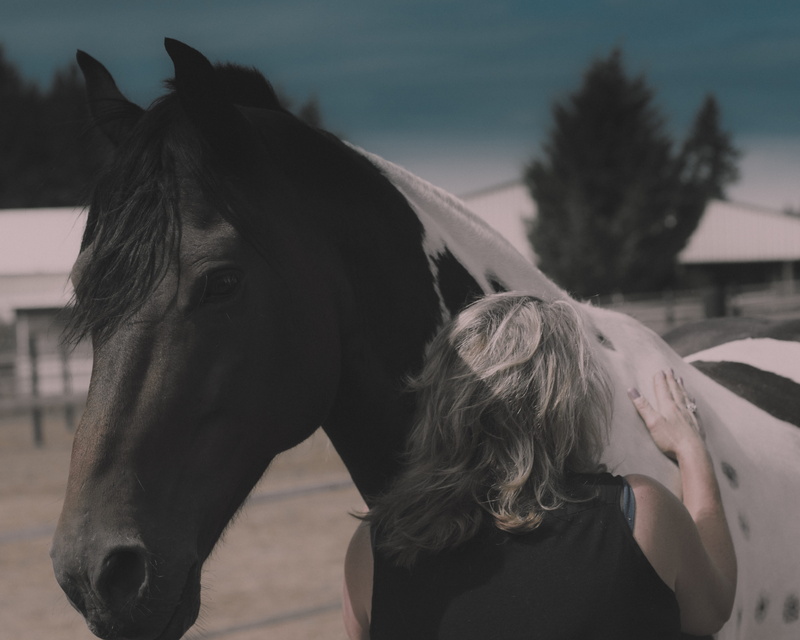 hair, ranch, animal body part, women, horse outdoors mom love best friends canon80d, lifestyles, united states, one person, sandy, livestock, horse, day