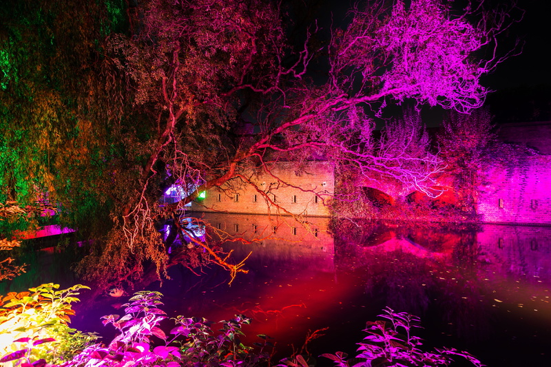 Color, Lights, installation, beautiful, built structure, pink color, neon, trees, waterfront, lake, water, purple, park - man made space, atmosphere, no people
