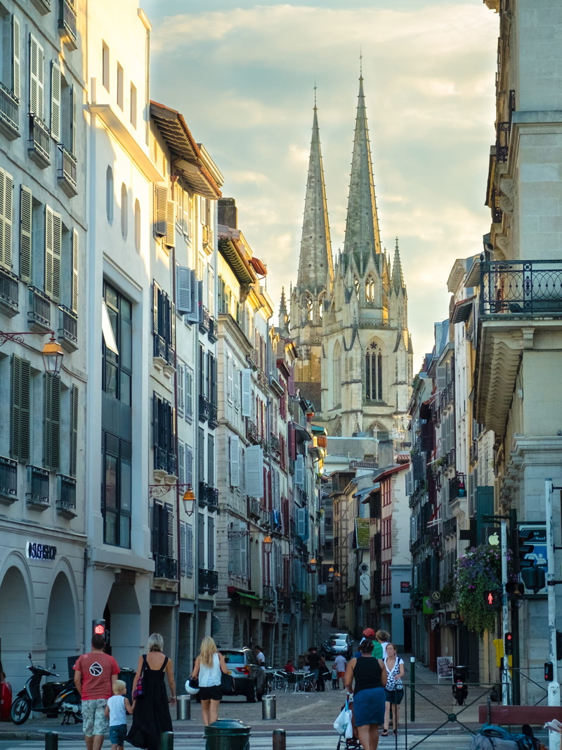adult, place of worship, warm, architecture, men, sky, narrow streets, oldcity, cathedral, france, women, pedestrians, nature, 2K, group of people, steeple