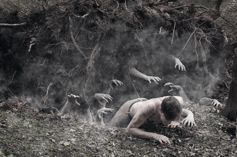 herbivorous, hand, outdoors, child, plant, group of animals, horror, dust, nature, childhood, forest, men, land, full length, animal wildlife, day, real people