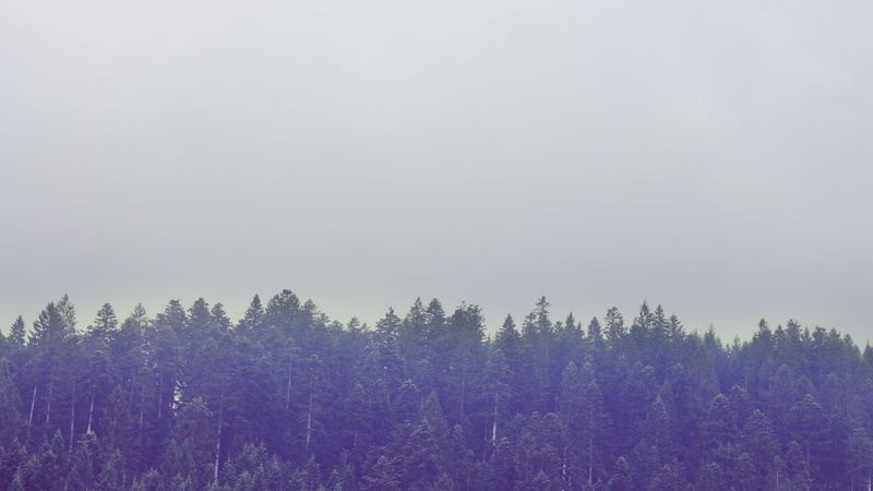 beauty in nature, Europe, muted, plant, land, pine tree, Italy, purple, 1080P, landscape, tree, winter, no people, mountains, tranquility, outdoors, nature