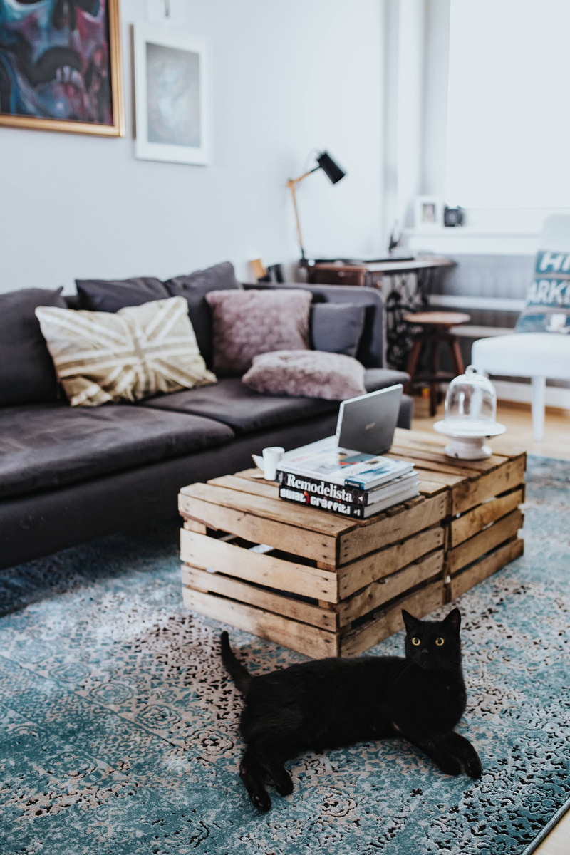 wooden, living Room, light blue, coffee table, domestic Room, design, sofa, furniture, composition, blue, carpet - decor, blue carpet, interior, domestic