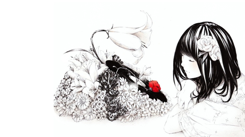 flowering plant, flower, indoors, plant, no people, studio shot, cut out, hair, fear, phonographs, animal wildlife, white background, nature, black color