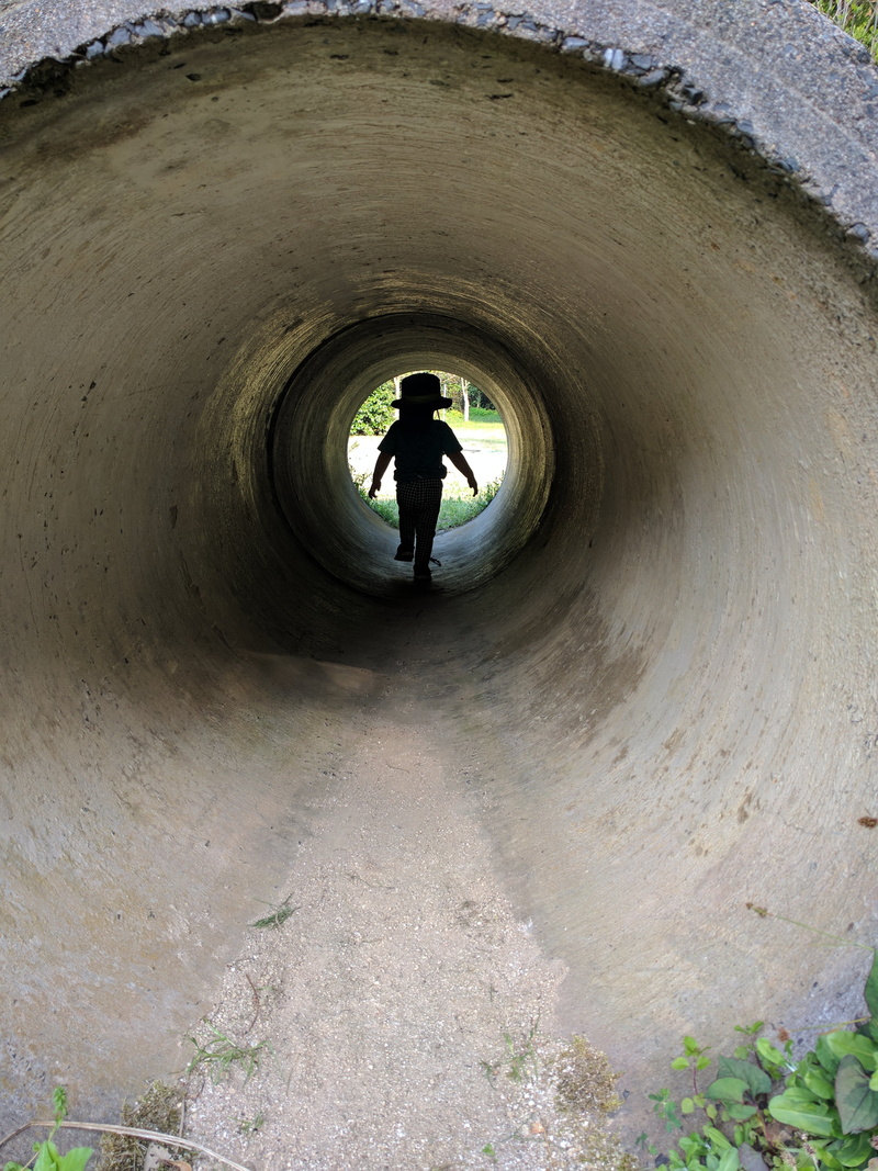 leisure activity, boys, pipe - tube, circle, built structure, males, lifestyles, high angle view, architecture, concrete, men, kids, standing, day, light at the end of the tunnel