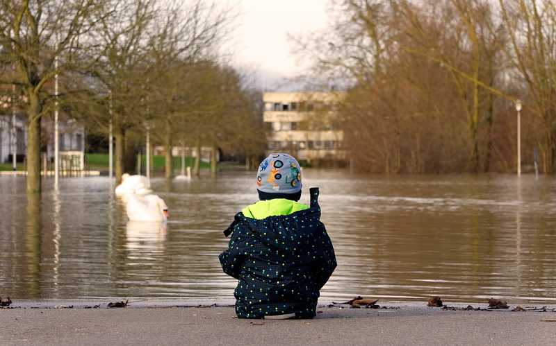 one person, rhine, end, clothing, wet, away, flow, ends, vertebrate, real people, small child, bird, tree, animal, bill, in thoughts, winter, swan, risk