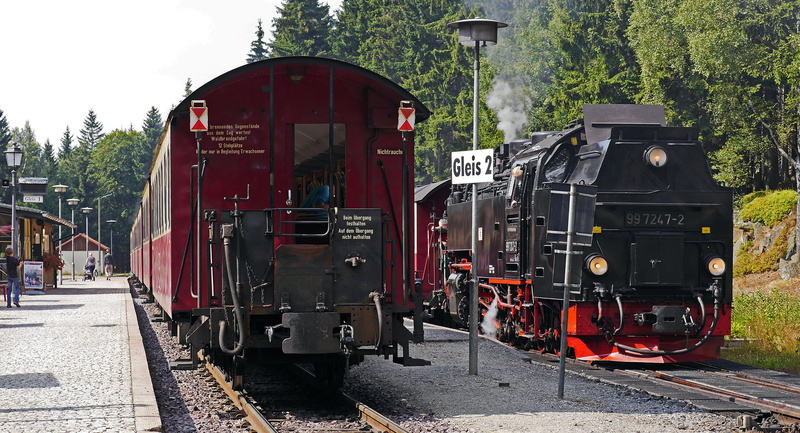 train, day, wagon, nostalgia, travel, schierke, train - vehicle, historically, Railway Station, locomotive, rail transportation, train meeting, plant, railroad track