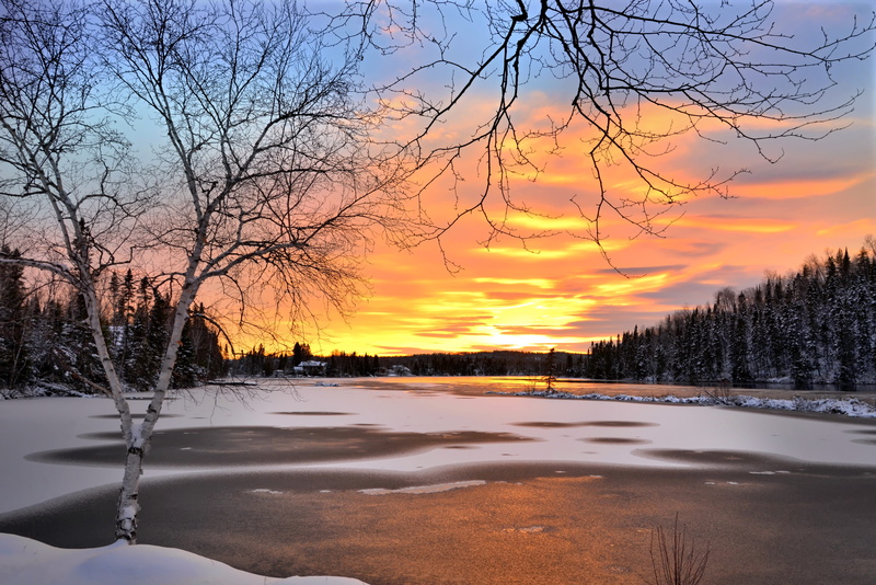 water, orange color, winter white, plant, branches, birch, sky, tranquil scene, tree, tranquility, winter, winter landscape, outdoors, nature, no people