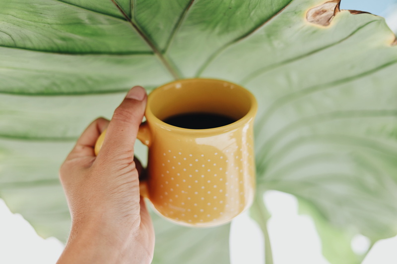 finger, human, bright, mug, airy, glass, close-up, palm, hot drink, cup, one person, black coffee, thumb, tea cup, caffeine, adult, hotdrink, coffee cup
