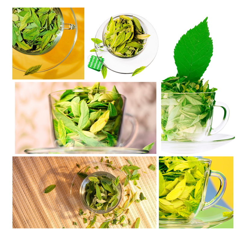 lettuce, flora, pattern, drink, tea, leaf vegetable, refreshment, healthy, choice, leaf, fitness, still life, no people, digital composite, fresh, close-up