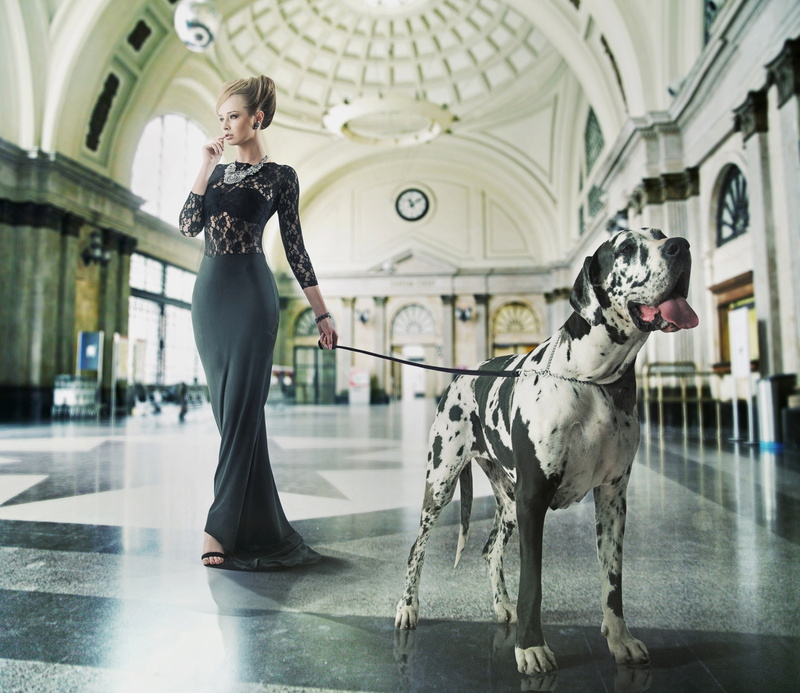 makeup, hairstyle, dog, hall, leash, dress, great Dane, figure, 2K, girl
