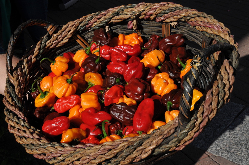still life, weaving, aromatic, fruit, wicker, large group of objects, red, peppers, natural, 4K, spices, basket, wellbeing, chilis, sunlight, spicy, freshness