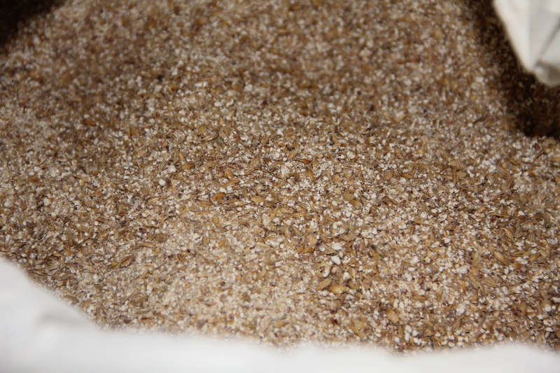 textured, brown sugar, cereal plant, raw food, healthy eating, still life, indoors, 5K, selective focus, no people, wellbeing, studio shot, Beer, freshness
