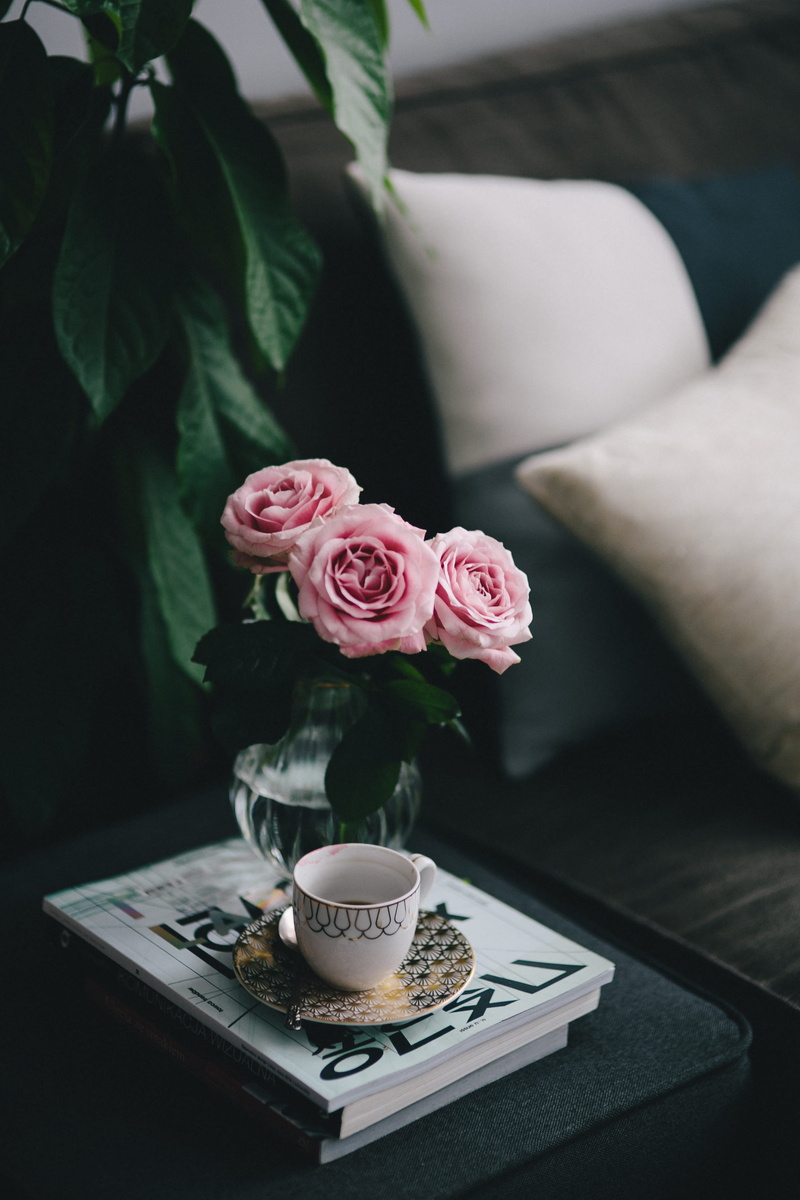 coffee table, pink roses, plant part, beauty in nature, book, bouquet, decor, nature, pink color, resting, 4K, relax, rose, elegance, interior, flowering plant
