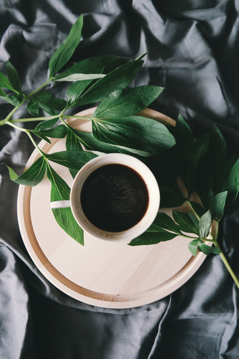 indoors, plant, beside, filled, green color, saucer, directly above, food, table, leaves, drink, cup, tea cup, beige, non-alcoholic beverage, no people