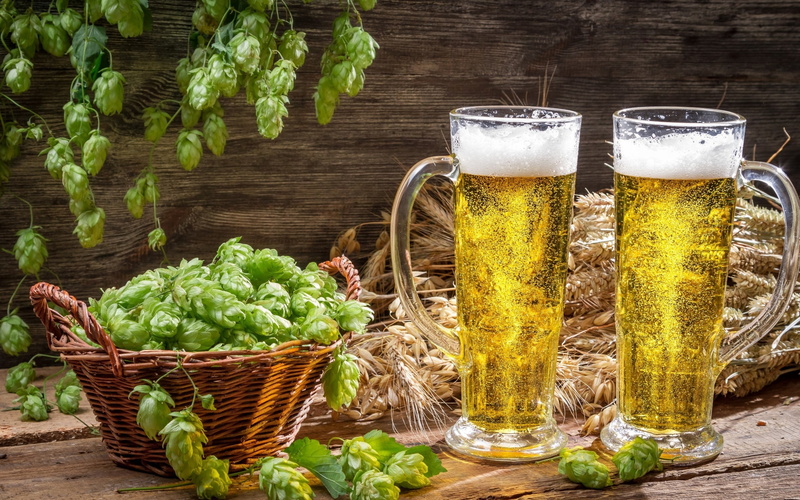 beer, mug, 2K, basket, mugs