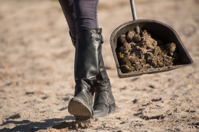 outdoors, nature, low section, one person, clean, sand, eliminate, bear, field, ride, leisure activity, sunlight, day, lifestyles, land, real people, human leg