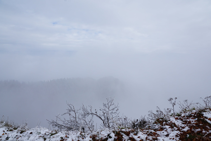 outdoors, nature, crap, day, scenics - nature, misty, tranquil scene, fog, no people, beauty in nature, winter, landscape, tree, land, jura, snowfall, cold temperature