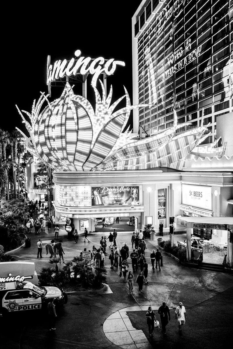 zeiss lens, architecture, women, men, photography, illuminated, flamingo, monochromatic, 35mm, night, built structure, zeiss, monochrome, sony alpha, city