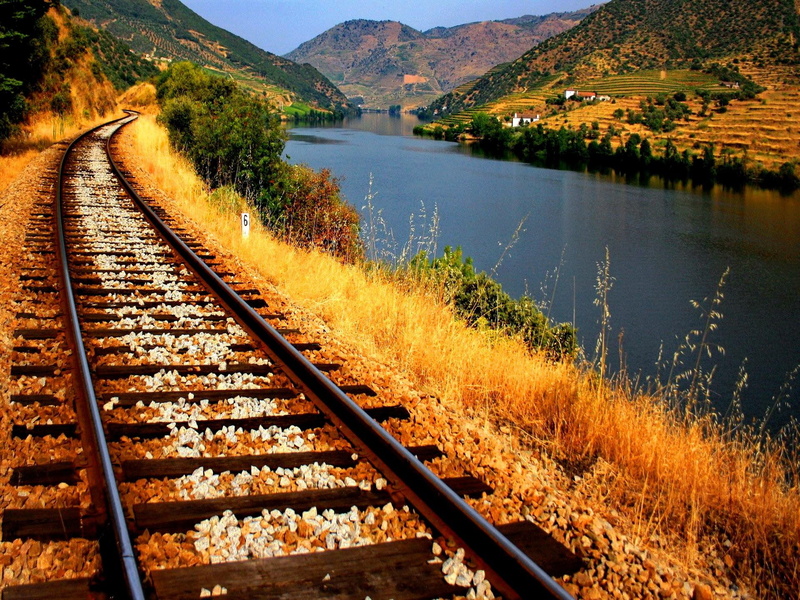 nice, train, river, alongside, railroad, view, village, 1080P, lovely, beautiful, shore, calm, lakeshore, water, grass, together