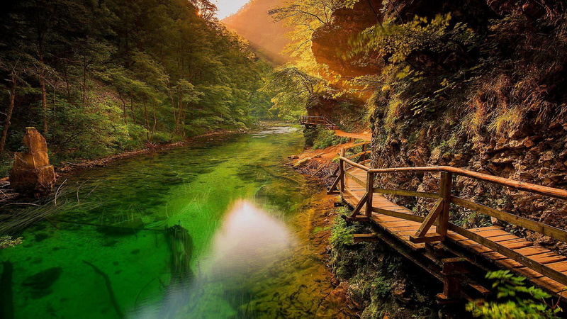 green color, 1080P, woodem walkway alongside river, no people, stream - flowing water, growth, land, tree, day, scenics - nature, tranquility, outdoors
