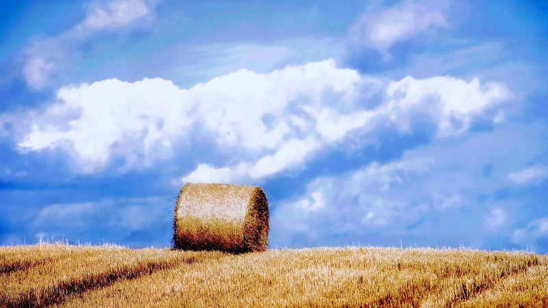bail, 1080P, hdr, nature and landscapes, field, clouds, hay, hill