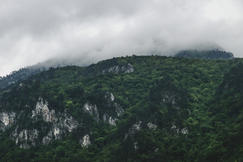 land, 5K, scenics - nature, plant, green color, green, cloud - sky, trees, fog, mountain range, baile herculane, no people, colorful, tranquility, growth