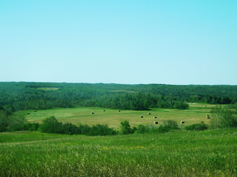 hay bail, green, no people, green color, landscape, copy space, field, nature, outdoors, outdoor, tranquility, agriculture, 1080P, beauty in nature, clear sky