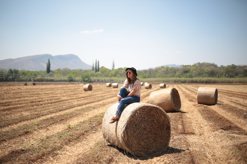 sunlight, 5K, explore, day, round, haystack, woman, landscape, plant, agriculture, style, girl, hale, nature, adult, farm, land, adventure, tree, sky