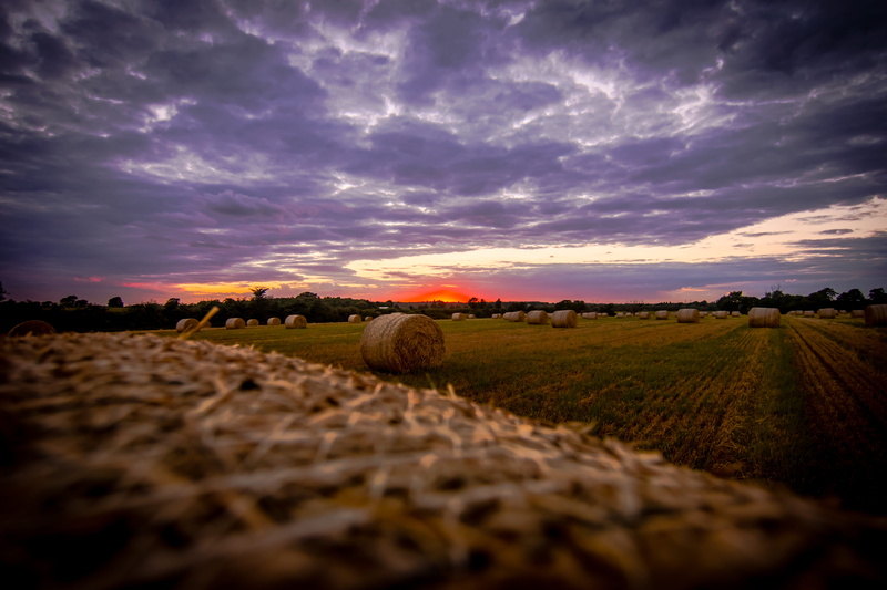 outdoors, sunset, sky, haystack, environment, bail, 5K, field, tranquil scene, crop, landscape, plant, close, no people, beauty in nature, hay, nature