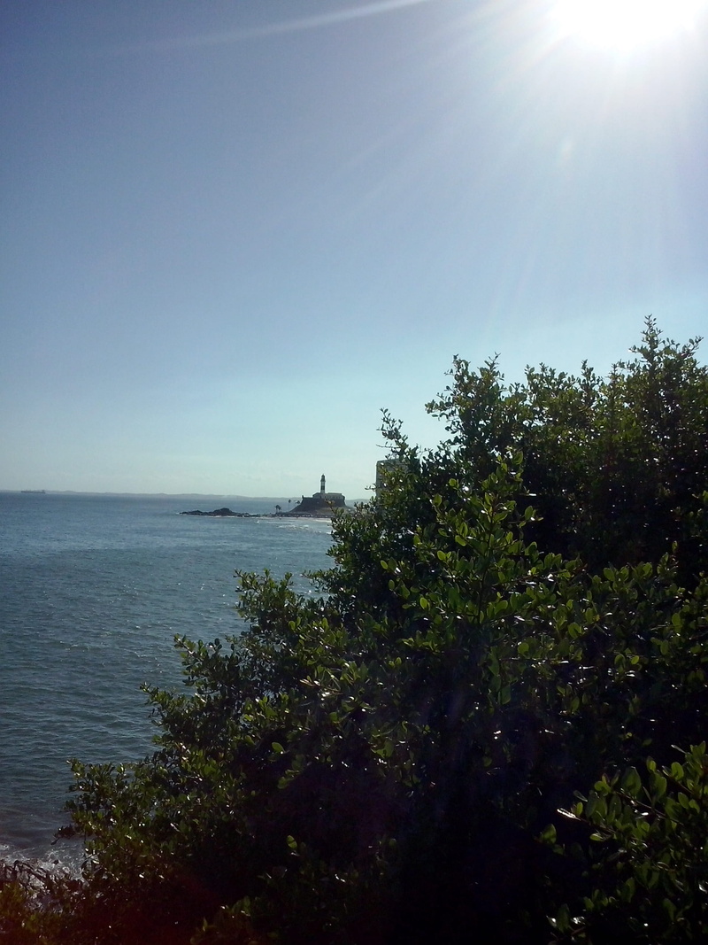 growth, farol, brazil, tree, beach, farol da barra, nature, scenics - nature, sun, summer, plant, sunlight, day, clear sky, barra, water, sky, no people