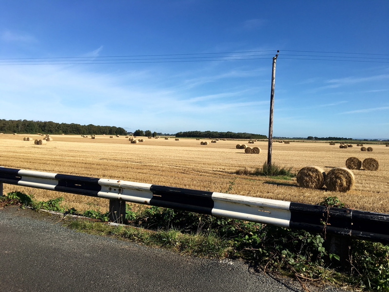 country, landscape, rolled up, blue, field, day, land, cloud - sky, no people, nature, grass, harvesting, agriculture, plant, farm, environment, sky, hay bails