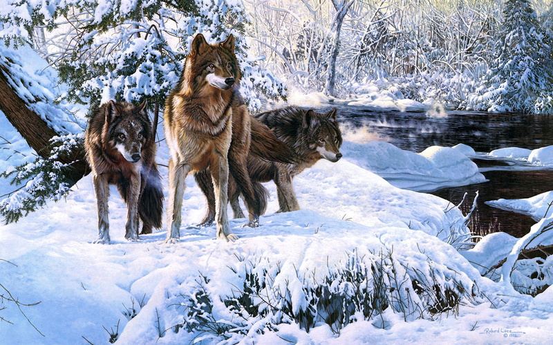 snow, winter, river, wolves, forest, 1080P, Richard Luce, art