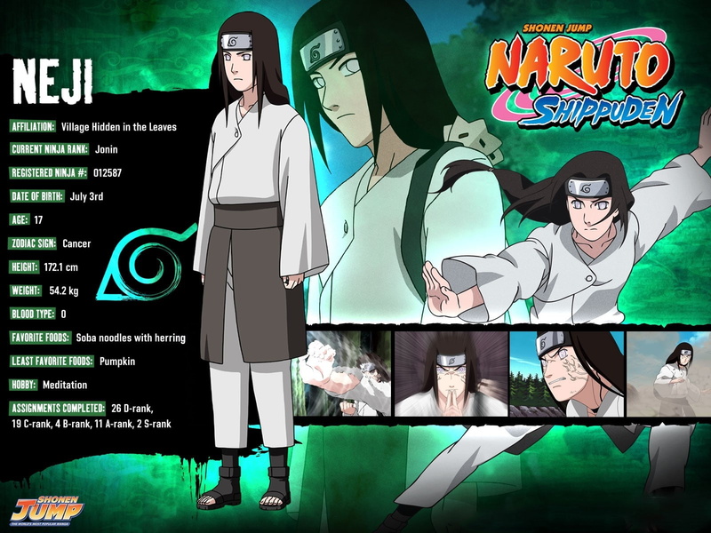 front view, female likeness, clothing, representation, Naruto, Posture, male likeness, western script, communication, Girl, Hyuuga neji, number, Brunette
