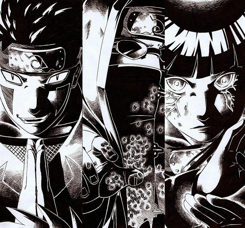 Inuzuka Kiba, Hyuuga Hinata, Aburame Shino, 480P, Naruto Shippuuden