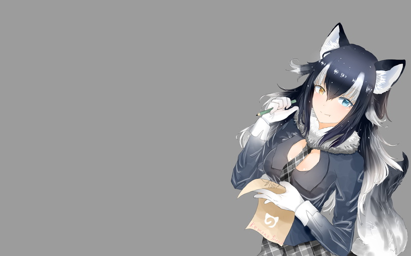 anime, Kemono Friends, anime girls, 1080P, Gray Wolf (Kemono Friends), heterochromia, gray background, simple background