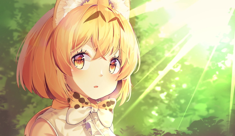 2K, Serval (Kemono Friends), Kemono Friends, Sunlight, Cat Girl, Anime