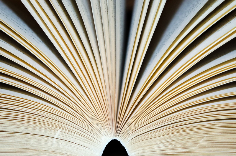 learning, old, night, arch, bookstore, record, full frame, manual, black, textured, white, adventure, abstract, indoors, open, page, design, book, writing