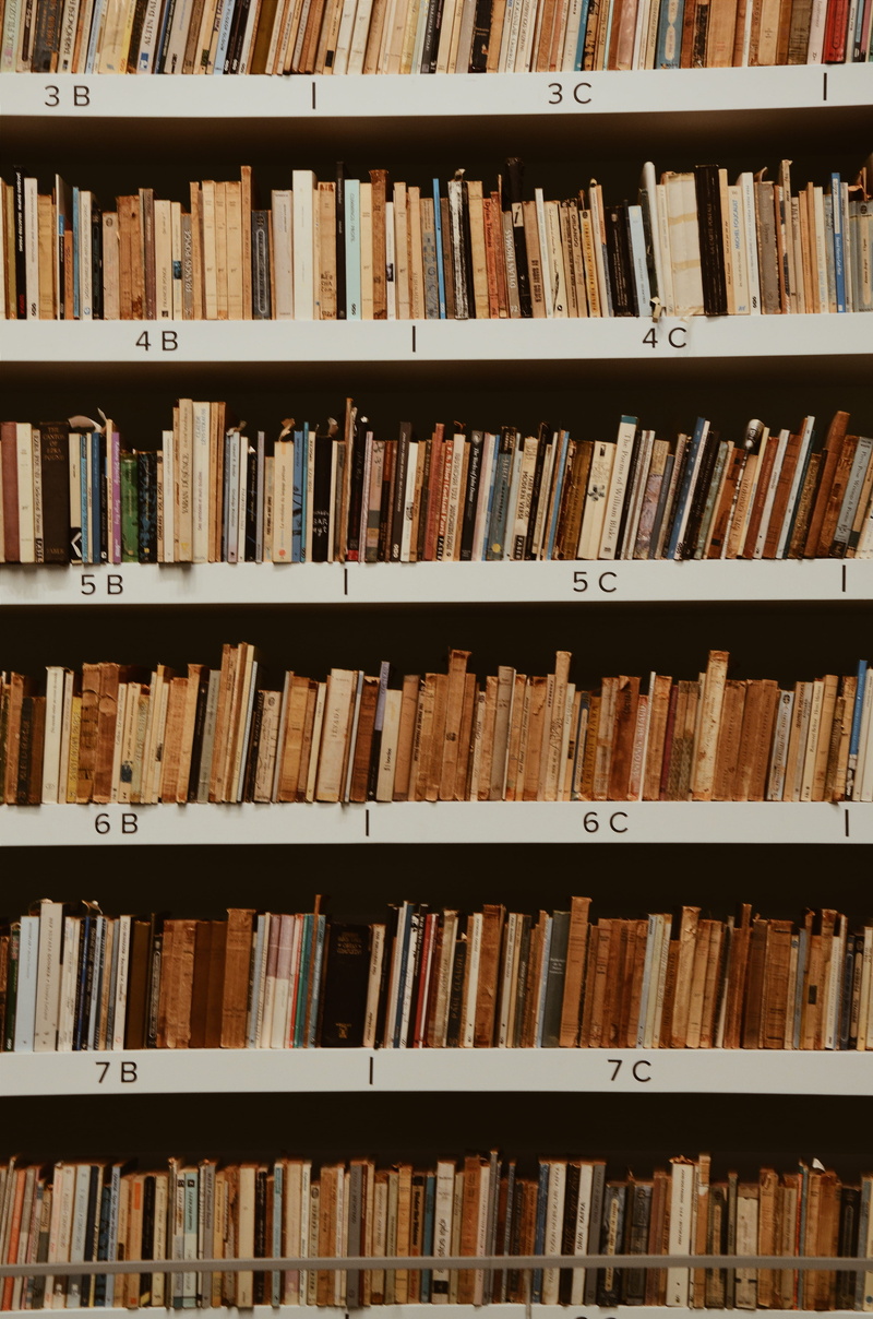 textbook, literature, arrangement, publication, pile, college, facts, bookshelf, knowledge, book, library, books, wisdom, school, research, vintage, indoors