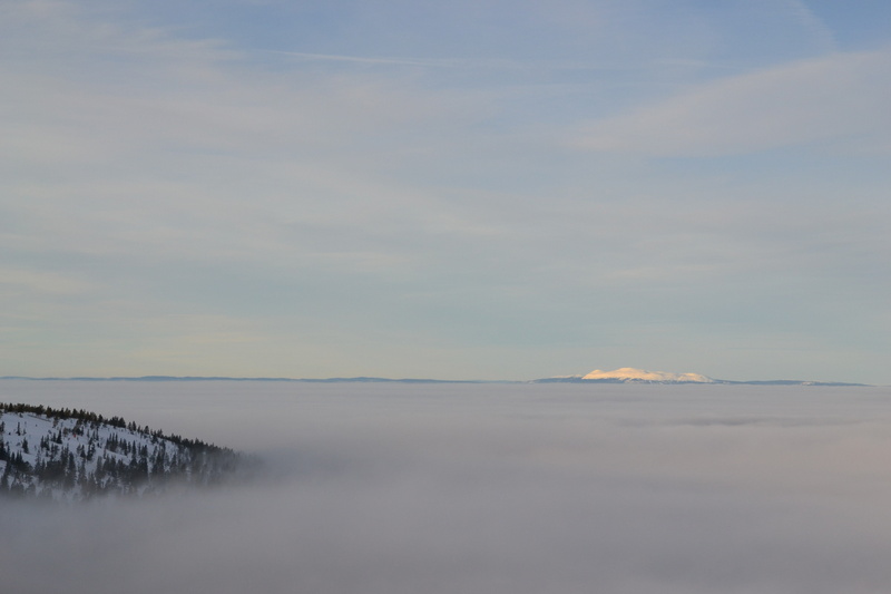 x, MIST, art, 4K, Oakley, Clouds, px, animals, cold, mountains, bears, 4608x3072 px, hd, Landscape