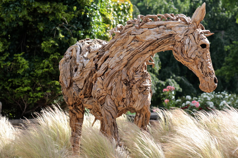 plant, 4K, pets, no people, brown, oakley court hotel, animal, one animal, focus on foreground, nature, field, trees, mammal, wood art, day, land, animal wildlife