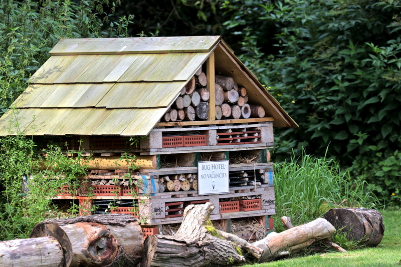 birdhouse, bug hotel, log, Bug, insect, wood - material, day, Hotel, building, growth, 5K, house, tree, worm, Wood, no people, land, plant, hut, field