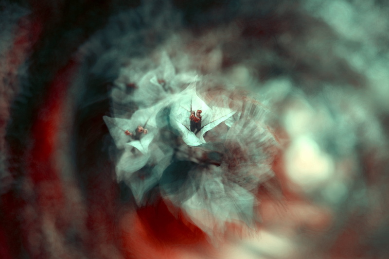 fantasy, backgrounds, magician, seriou, spinning, 5K, blur, effort, white, blue, macro, flower, nature, close-up, long exposure, petaled, abstract, spin