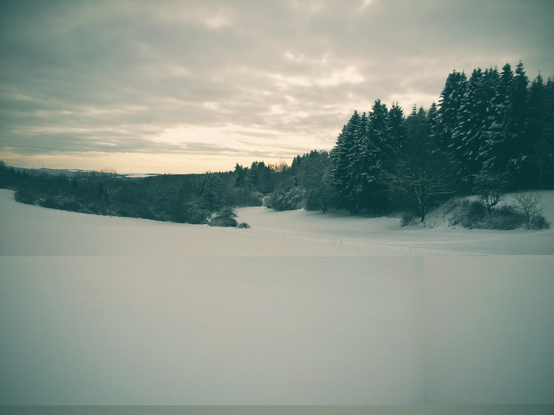 pine trees, landscape, 2K, sad, trees, white, snow, snow covered, comfy