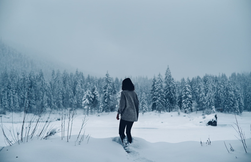 1080P, snow covered, sad, comfy, landscape, snow, sweater, pine trees, trees, white