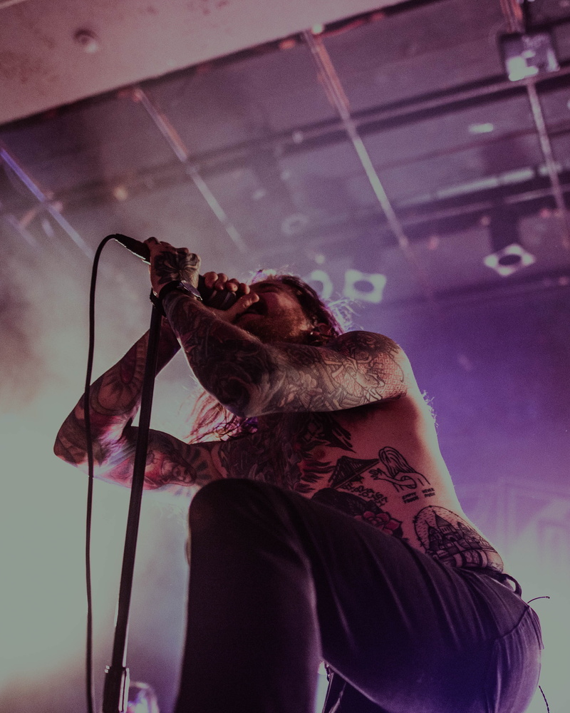 sigma, 2K, music, musician, one animal, music photography, tattoo, representation, guitar, person, one person, animal wildlife, 24mm, mammal, warped tour