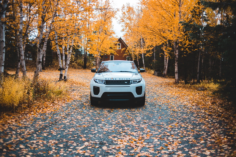 day, car, orange color, change, sports car, coupe, leaf, gravel, forest, white, beauty in nature, motor vehicle, pavement, badger, caravan, land, autumn