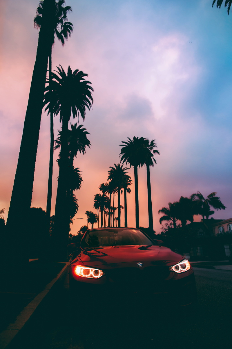 plant, nature, alloy wheel, tropical climate, illuminated, sky, tire, vehicle, sports, 5K, car, transportation, outdoors, dusk, no people, gradient, park